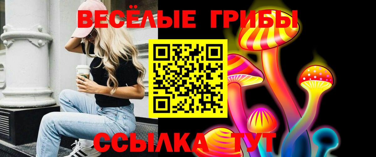 Галлюциногенные грибы ЛСД Клинцы