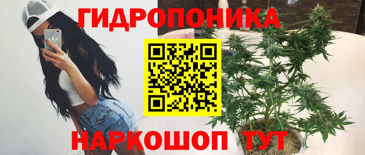 Шишки марихуана THC 21%  Канабис тримм  Канабис VHQ  Канабис LSD WEED  Клинцы  Вход с VPN 